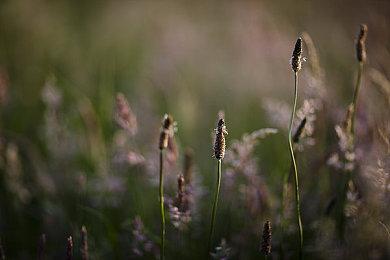 雪崩和微软合作的游戏《走私》可能跳票到了2023年